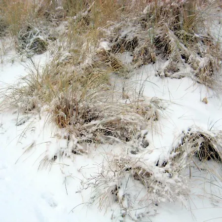 Sur La Digue - - - Silver D2 דירה