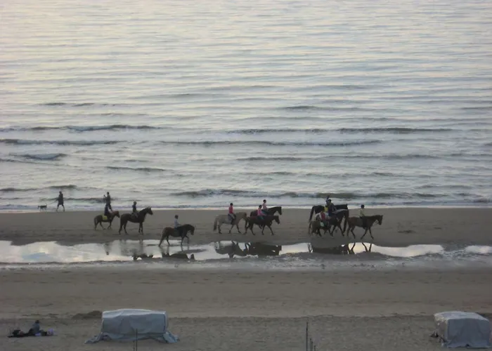 Appartement Sur La Digue - De Haan - Le Coq - Silver Beach D2 Lägenhet De Haan