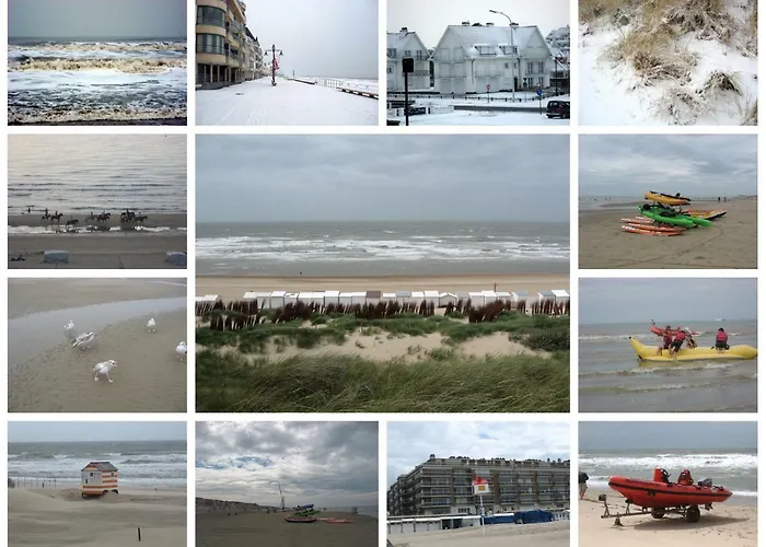 Appartement Sur La Digue - De Haan - Le Coq - Silver Beach D2 Lägenhet