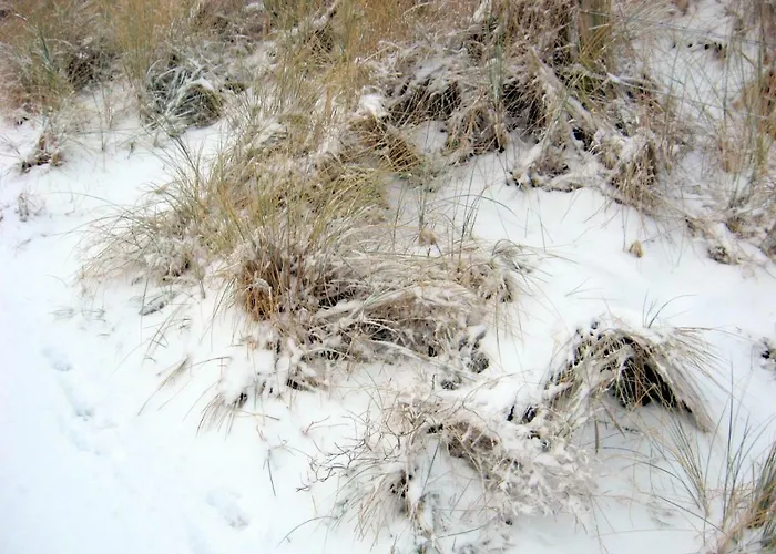 Appartement Sur La Digue - De Haan - Le Coq - Silver Beach D2 Lägenhet